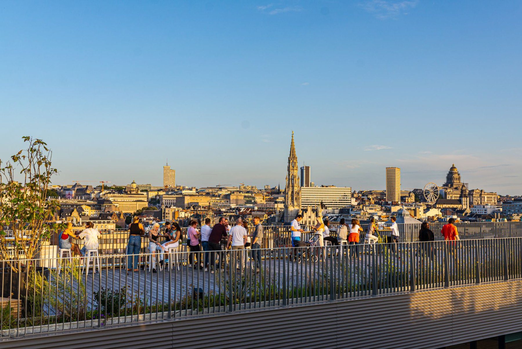 58 Rooftop