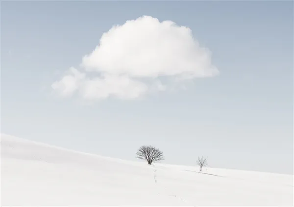 Visuel de l’œuvre : Finissage Stef Van Alsenoy