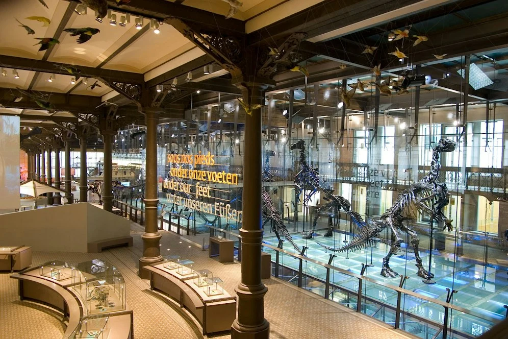 Institut des Sciences naturelles